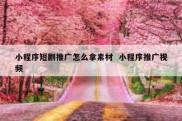 小程序短剧推广怎么拿素材  小程序推广视频