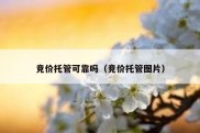 竞价托管可靠吗（竞价托管图片）