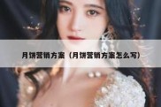 月饼营销方案（月饼营销方案怎么写）
