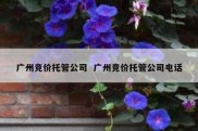 广州竞价托管公司  广州竞价托管公司电话