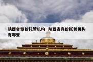陕西省竞价托管机构  陕西省竞价托管机构有哪些