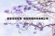 极智竞价托管  极智网络科技有限公司