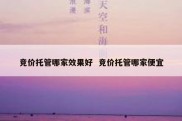 竞价托管哪家效果好  竞价托管哪家便宜