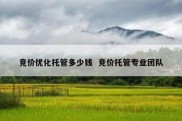 竞价优化托管多少钱  竞价托管专业团队