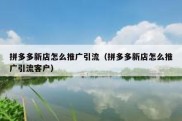 拼多多新店怎么推广引流（拼多多新店怎么推广引流客户）