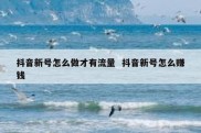 抖音新号怎么做才有流量  抖音新号怎么赚钱