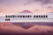 竞价托管11大熊猫点搜牛  熊猫竞拍是真的吗