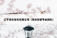 辽宁竞价包年托管公司（竞价托管专业团队）