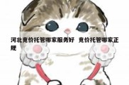 河北竞价托管哪家服务好  竞价托管哪家正规