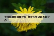 竞价托管代运营介绍  竞价托管公司怎么合作