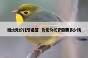 衡水竞价托管运营  做竞价托管需要多少钱