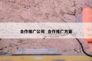 合作推广公司  合作推广方案