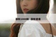 涨粉1000粉  涨粉速度