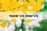专业的推广公司  好的推广公司