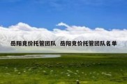 岳阳竞价托管团队  岳阳竞价托管团队名单