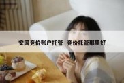 安国竞价账户托管  竞价托管那里好