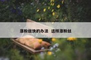 涨粉丝快的办法  这样涨粉丝