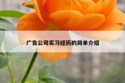 广告公司实习经历的简单介绍