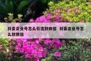 抖音企业号怎么引流到微信  抖音企业号怎么放微信