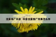 流量推广抖音  抖音流量推广效果怎么样