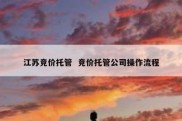 江苏竞价托管  竞价托管公司操作流程