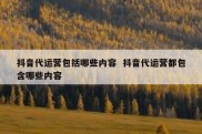 抖音代运营包括哪些内容  抖音代运营都包含哪些内容
