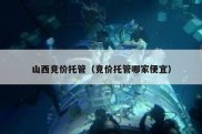 山西竞价托管（竞价托管哪家便宜）