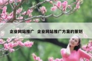 企业网站推广  企业网站推广方案的策划