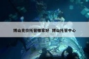 博山竞价托管哪家好  博山托管中心