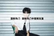 涨粉热门  涨粉热门中视频文案