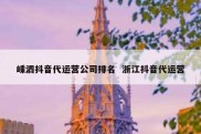 嵊泗抖音代运营公司排名  浙江抖音代运营