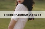 沧州网站竞价托管收费标准  沧州百度竞价