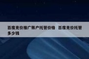 百度竞价推广账户托管价格  百度竞价托管多少钱