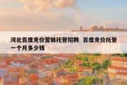 河北百度竞价营销托管招聘  百度竞价托管一个月多少钱