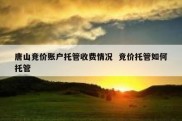 唐山竞价账户托管收费情况  竞价托管如何托管
