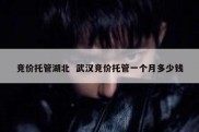 竞价托管湖北  武汉竞价托管一个月多少钱
