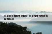 抖音账号如何快速起粉  抖音号如何快速涨粉到1000