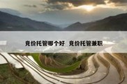竞价托管哪个好  竞价托管兼职