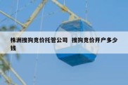 株洲搜狗竞价托管公司  搜狗竞价开户多少钱