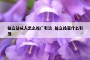 独立站成人怎么推广引流  独立站靠什么引流