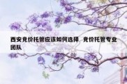 西安竞价托管应该如何选择  竞价托管专业团队