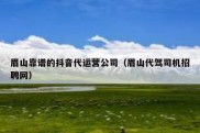 眉山靠谱的抖音代运营公司（眉山代驾司机招聘网）