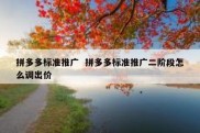 拼多多标准推广  拼多多标准推广二阶段怎么调出价