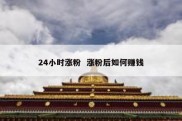 24小时涨粉  涨粉后如何赚钱