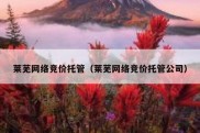 莱芜网络竞价托管（莱芜网络竞价托管公司）