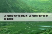 永州竞价推广托管服务  永州竞价推广托管服务公司