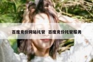 百度竞价网站托管  百度竞价托管服务