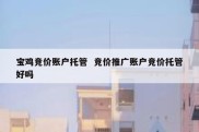 宝鸡竞价账户托管  竞价推广账户竞价托管好吗