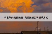 有名气的竞价托管  竞价托管公司联系方式