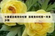 十里堡百度竞价托管  百度竞价托管一月多少钱